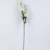 Artificial Flower 13*104CM GLADIOLUS GS-12820004-W1