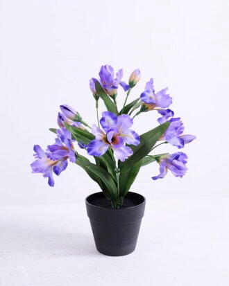 Artificial Flower 21*21*28cm Iris in Plstic pot GS-03320069 Potted Flowers&Plants YeahFlower is one of Chinese leading OEM manufacturers and exporters , supplying the silk flowers, wholesale artificial trees Artificial Flower 21*21*28cm Iris in Plstic pot GS-03320069