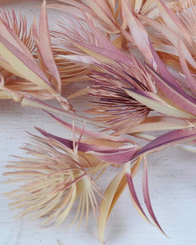 Artificial Flower 24*58CM Pine spray GS-27420001-Z2