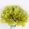 Artificial Flower 7*54CM Singel Burning Carnation GS-05520063-G1