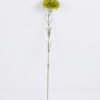 Artificial Flower 7*54CM Singel Burning Carnation GS-05520063-G1
