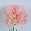 Artificial Flower 7*54CM Singel Burning Carnation GS-05520063-P1