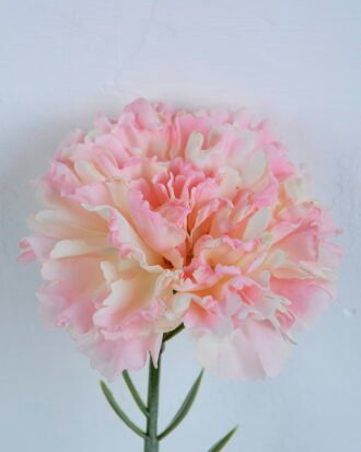 Artificial Flower 7*54CM Singel Burning Carnation GS-05520063-P1