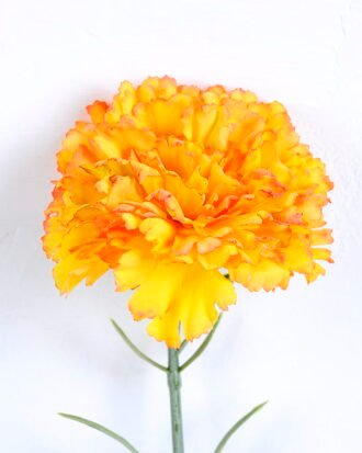Artificial Flower 7*54CM Singel Burning Carnation GS-05520063-Y1