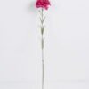 Artificial Flower 7*54CM Singel Burning Carnation GS-05520063-Z1