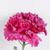 Artificial Flower 7*54CM Singel Burning Carnation GS-05520063-Z1