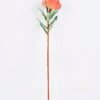 Artificial Flower 11*56CM Singel Leucospermum GS-39120002-R1