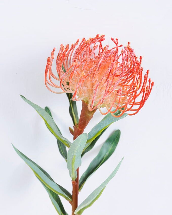 Artificial Flower 11*56CM Singel Leucospermum GS-39120002-R1