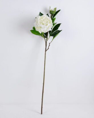 Artificial Flower 22*81CM Singel Peony*2 GS-39120021-W1 Single Flowers YeahFlower is one of Chinese leading OEM manufacturers and exporters , supplying the silk flowers, wholesale artificial trees Artificial Flower 22*81CM Singel Peony*2 GS-39120021-W1