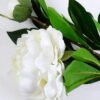 Artificial Flower 22*81CM Singel Peony*2 GS-39120021-W1