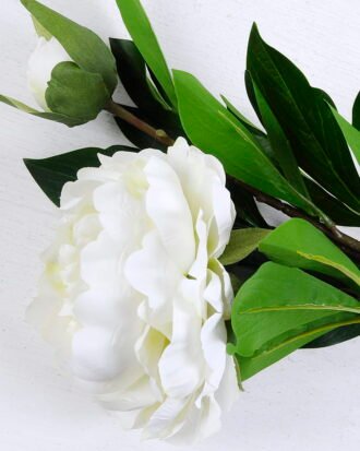 Artificial Flower 22*81CM Singel Peony*2 GS-39120021-W1 Single Flowers YeahFlower is one of Chinese leading OEM manufacturers and exporters , supplying the silk flowers, wholesale artificial trees Artificial Flower 22*81CM Singel Peony*2 GS-39120021-W1