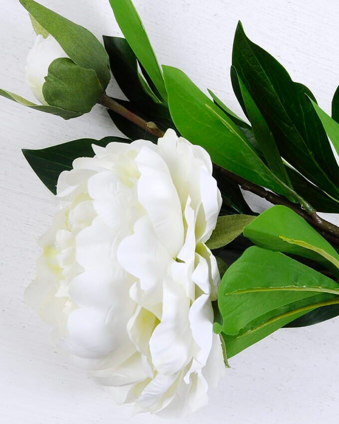 Artificial Flower 22*81CM Singel Peony*2 GS-39120021-W1