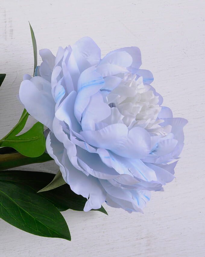 Artificial Flower Singel Peony GS-39120020-B1_2 Artificial Flower 20*64CM Singel Peony GS-39120020-B1