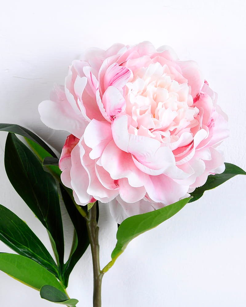 Artificial Flower 20*64CM Singel Peony GS-39120020-P1
