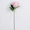 Artificial Flower 20*64CM Singel Peony GS-39120020-P1 2 Artificial Flower 20*64CM Singel Peony GS-39120020-P1