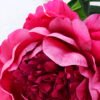 Artificial Flower 20*64CM Singel Peony GS-39120020-R1