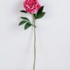 Artificial Flower Singel Peony GS-39120020_2 Artificial Flower 20*64CM Singel Peony GS-39120020