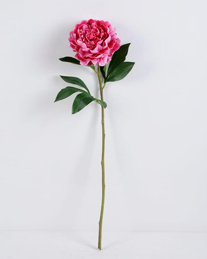 Artificial Flower Singel Peony GS-39120020_2 Artificial Flower 20*64CM Singel Peony GS-39120020