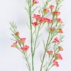 Artificial Flower 15*73CM Singel Wintersweet spray GS-39120006