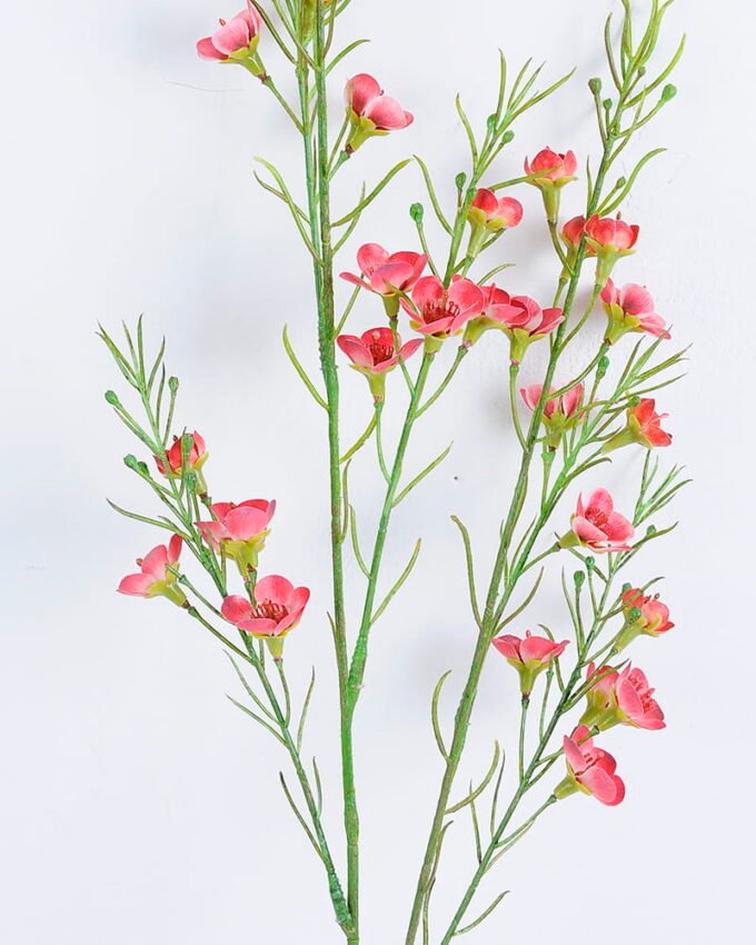 Artificial Flower 15*73CM Singel Wintersweet spray GS-39120006