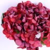 Artificial Flower 15*33CM Singel hydrange GS-58820004-R1 2 Artificial Flower 15*33CM Singel hydrange GS-58820004-R1