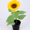 Artificial Flower 21*21*33cm Sunflower in plastic pot GS-03320098