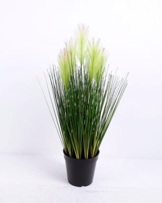 Artificial Grass 25*54CM Bristlegrass in plastic pot GS-29420014