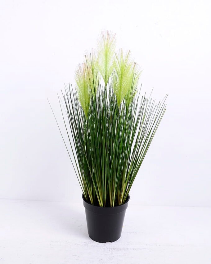 Artificial Grass 25*54CM Bristlegrass in plastic pot GS-29420014