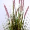 Artificial Grass 52*91CM Bristlegrass in plastic pot GS-29420015