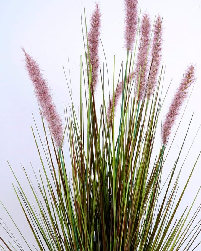 Artificial Grass 52*91CM Bristlegrass in plastic pot GS-29420015