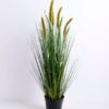 Artificial Grass 36*32*72CM Bristlegrass in plastic pot GS-29420018