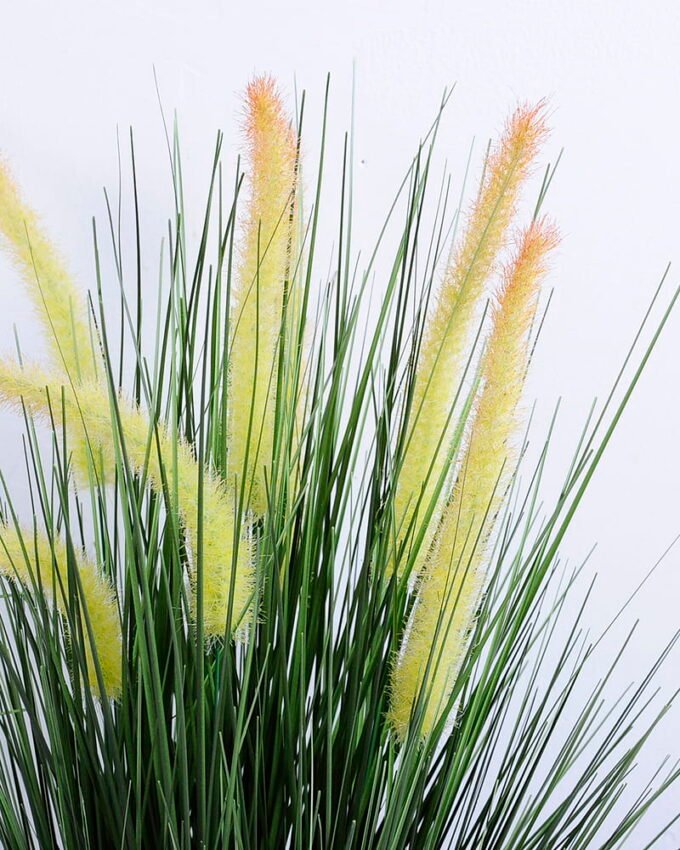 Artificial Grass 40*39*55CM Bristlegrass in plastic pot GS-45720048