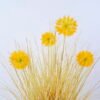 Artificial Grass 62*62*79CM Dandelion/Grass In Pot GS-45720040-O1