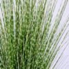 Artificial Grass 49*54*91CM Grass in plastic pot GS-45720028