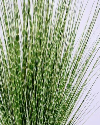 Artificial Grass 49*54*91CM Grass in plastic pot GS-45720028