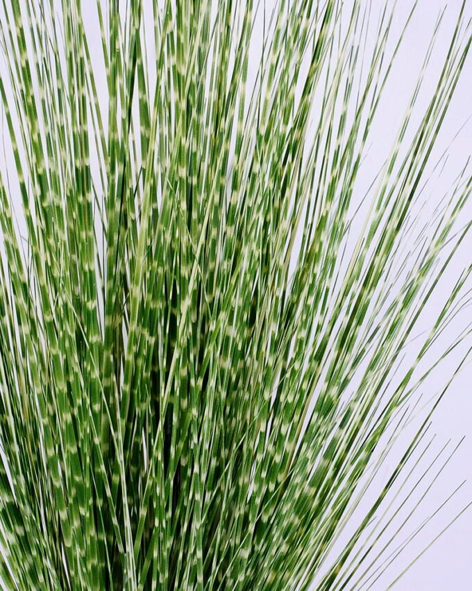 Artificial Grass 49*54*91CM Grass in plastic pot GS-45720028