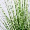 Artificial Grass 40*38*61CM Grass in plastic pot GS-45720029