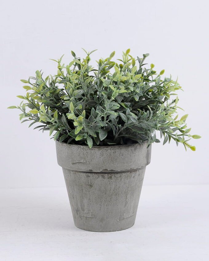 Artificial Plant Cedar in paper potL GS-06920063_1 Artificial Plant 23*20*21cm Cedar in paper pot(L) GS-06920063