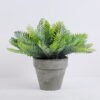 Artificial Plant Cedar in paper potS GS-06920064_3 Artificial Plant 20*17*19cm Cedar in paper pot(S) GS-06920064