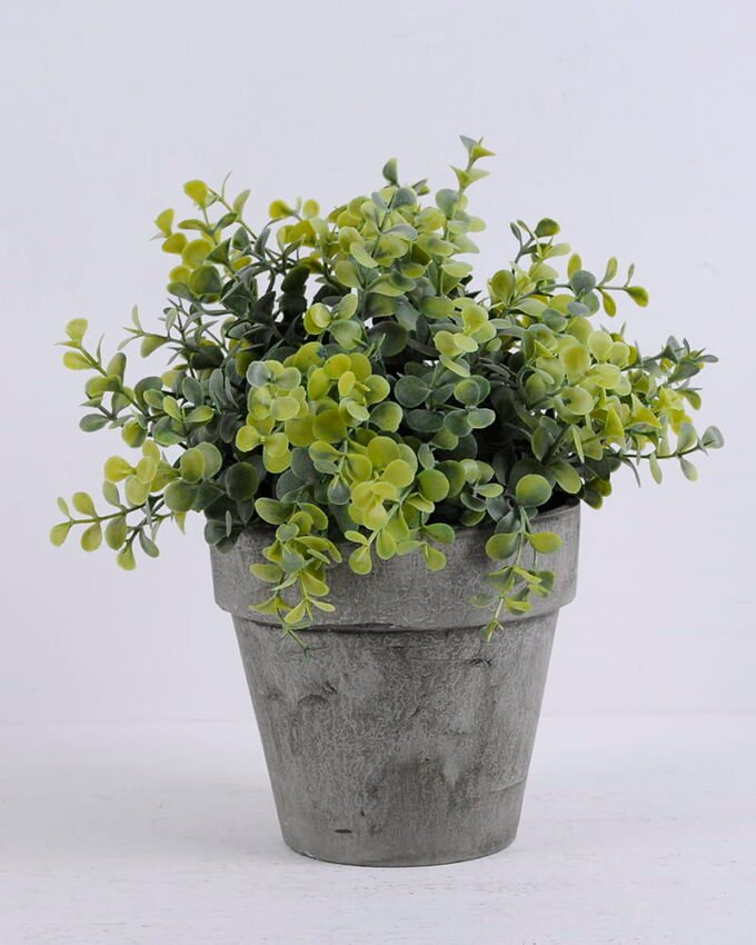 Artificial Plant Eucalyptus in paper potL GS-06920059_3 Artificial Plant 21*19*22cm Eucalyptus in paper pot(L) GS-06920059