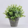 Artificial Plant 20*19*20cm Eucalyptus in paper pot(S) GS-06920056