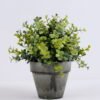 Artificial Plant 22*21*20cm Eucalyptus in paper pot(S) GS-06920058