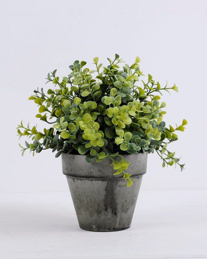 Artificial Plant 22*21*20cm Eucalyptus in paper pot(S) GS-06920058