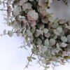 Artificial Plant 48*48*13CM Eucalyptus wreath GS-54020046-G2