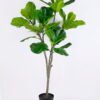 Artificial Plant 66*61*112CM Ficus ree GS-59620004