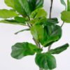 Artificial Plant 66*61*112CM Ficus ree GS-59620004