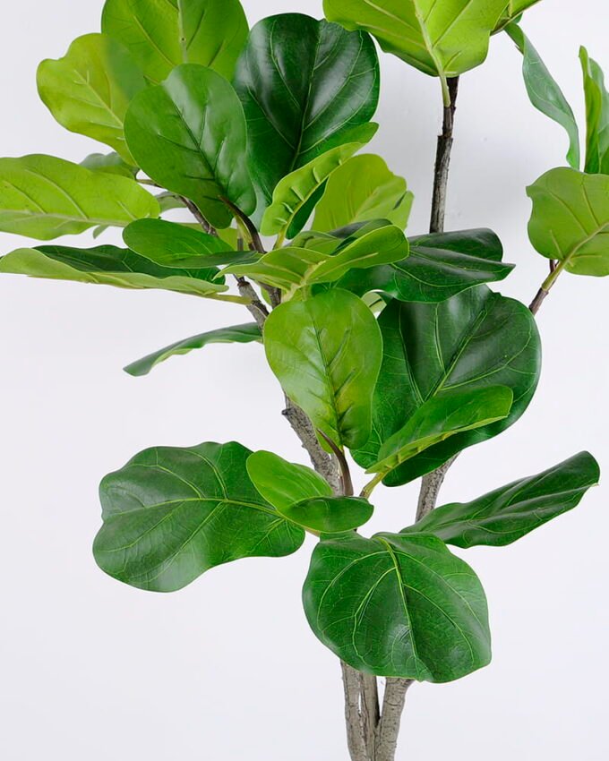 Artificial Plant 66*61*112CM Ficus ree GS-59620004