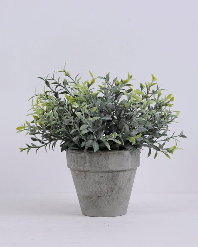 Artificial Plant 23*23*19cm Grass in paper pot(S) GS-06920062