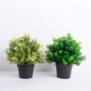 Artificial Plant 22*22*25CM Grass in plastic pot GS-05520077