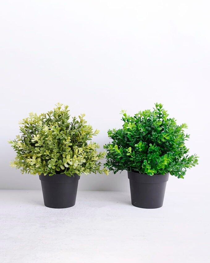 Artificial Plant 22*22*25CM Grass in plastic pot GS-05520077